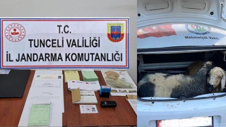 Mehmetçik Vakfı adına para toplayan dolandırıcılara gözaltı