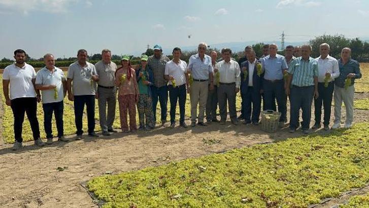 Bayraktar: Türkiye, dünyada kuru üzüm üretiminde 1'inci sırada