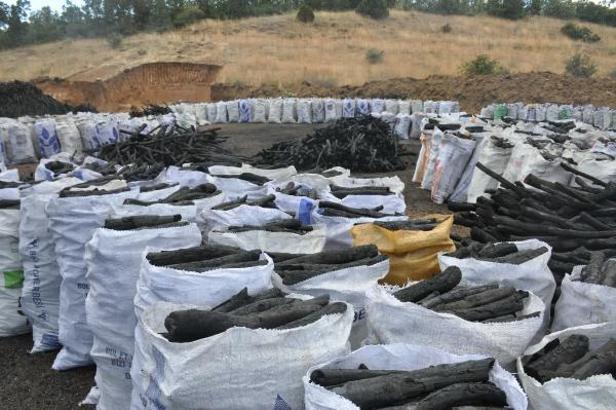 Gümüşhane'de 'torlakçıların' sıcak mesaisi