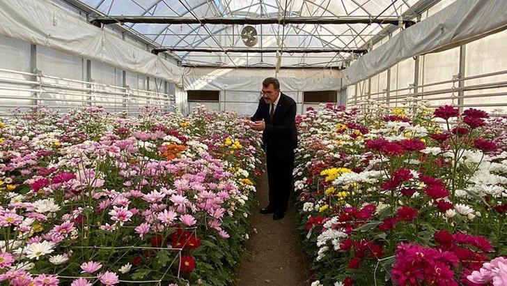 Çiçekte dışa bağımlılığı azaltacak proje