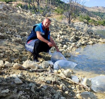 Mut'ta gölete 15 bin sazan balığı yavrusu bırakıldı