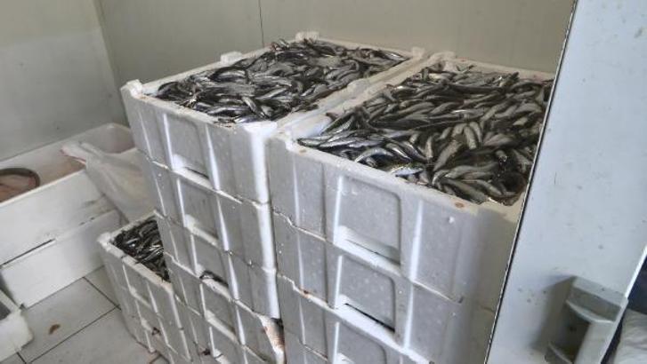 İstanbul'da balık boyu denetimi