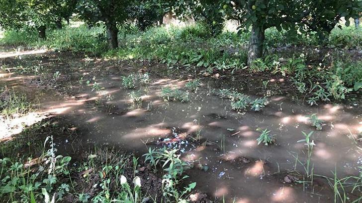 Kritik seviye altına inen gölden 'vahşi sulama' devam ediyor