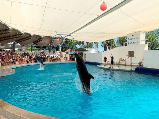 Gösteri merkezinde iki haftada 1 yunus ve 1 fok öldü