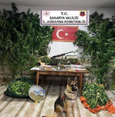 Sakarya'da uyuşturucu operasyonu: 6 gözaltı