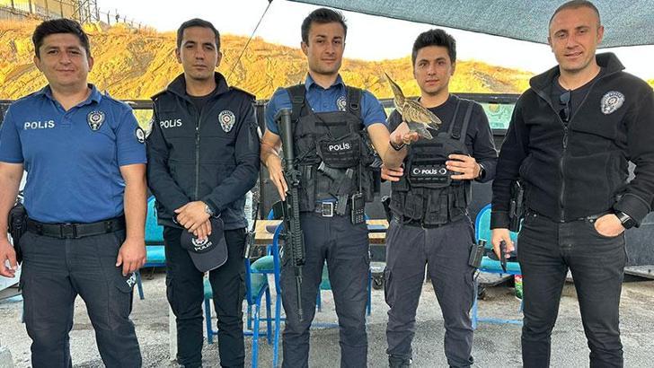 Nesli tehlike altında olan yaralı balaban kuşu, polis uygulama noktasına sığındı