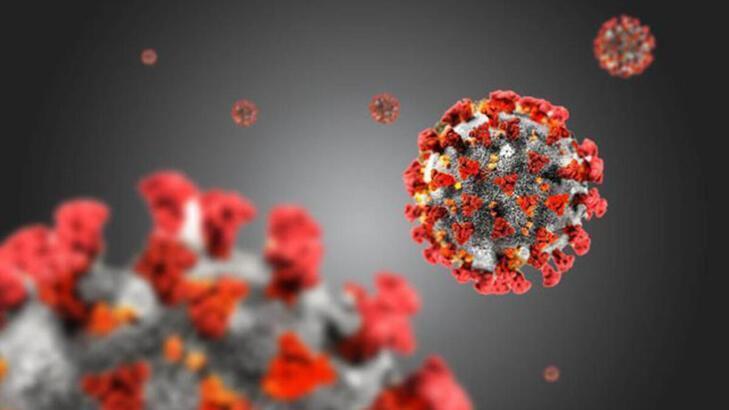 “Sadece Eris değil tüm viral enfeksiyonlarda bağışıklık sisteminin güçlü olması gerekir”