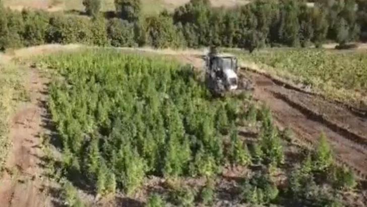 Bakan Yerlikaya: Diyarbakır'da 2 ton 120 kilo esrar ile 13 milyon 514 bin 550 kök kenevir ele geçirildi