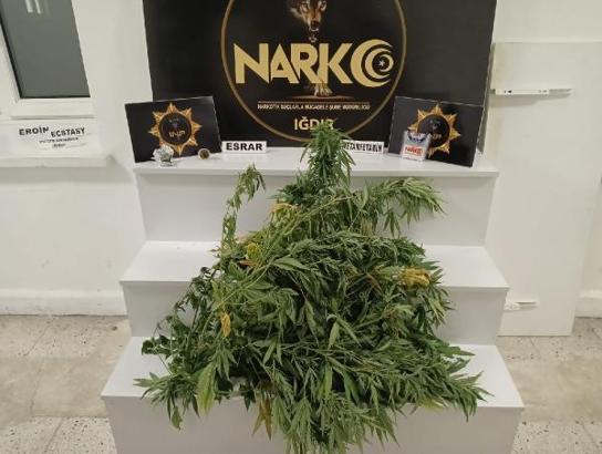 Iğdır'da uyuşturucu satıcılarına darbe