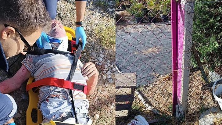 Kuşburnu toplamak için evden çıktı, bir gün sonra tel örgülere takılı, yaralı bulundu