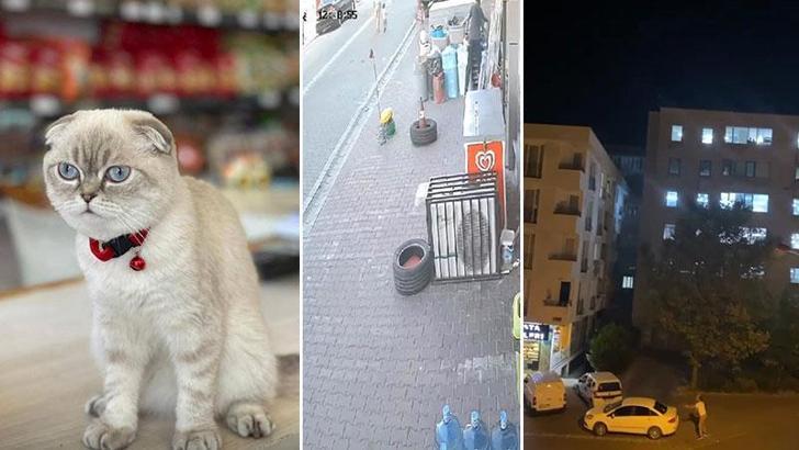 Esenyurt'ta silahlı kedi kavgası; yoldan geçen kurye vuruldu