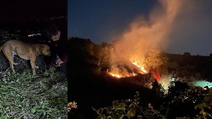 Tarlada çıkan yangında dumanın arasında kalan köpeği ekipler kurtardı