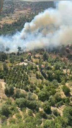 Antalya'da orman yangını