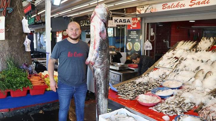 Yeşilırmak'ta yakalanan 1 metre 70 santimlik yayın balığı, satışa çıkarıldı