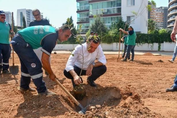 Başkan Özyiğit: Bir metre asfalt yapıyorsak onun yerine de beş ağaç dikmeliyiz