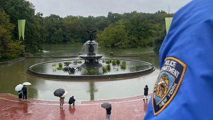 Bir deniz aslanı, Central Park’taki su baskınında kaçtı