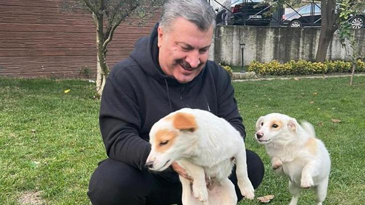 Bakan Koca'dan '4 Ekim Dünya Hayvanları Koruma Günü' paylaşımı