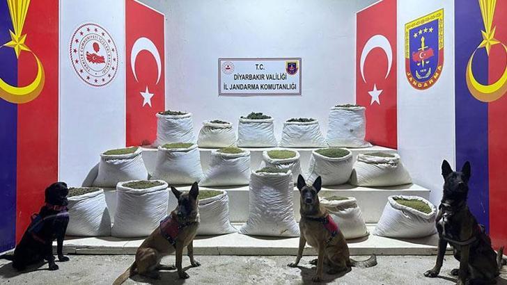 Diyarbakır'da 864 kilogram esrar ve 2 milyon kök Hint keneviri ele geçirildi