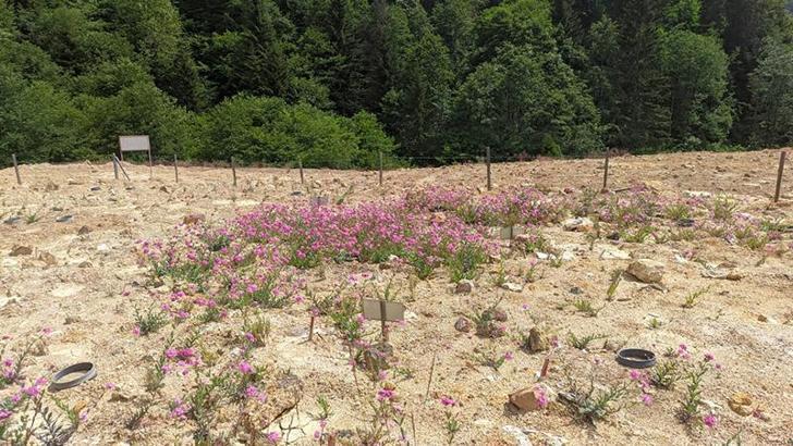 Organik atıklar maden sahalarında çiçek açacak
