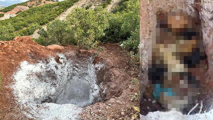 Tunceli’de köpeklerin öldürülerek çukura atıldığı iddiasına inceleme