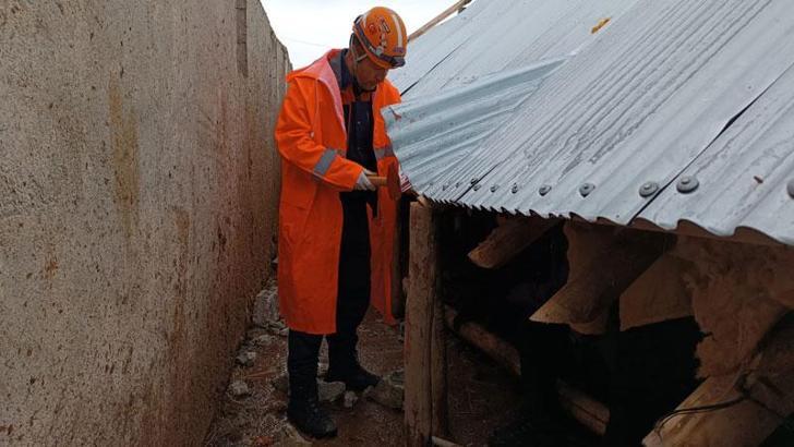 Van'da çıkan hortumda 22 büyükbaş öldü