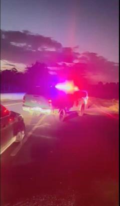 Sarıyer'de bahisle köpek dövüştürenlere baskın: 25 gözaltı