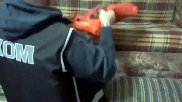 Yabancılara sahte belgelerle ikamet çıkaran şüphelilere operasyon: 13 gözaltı