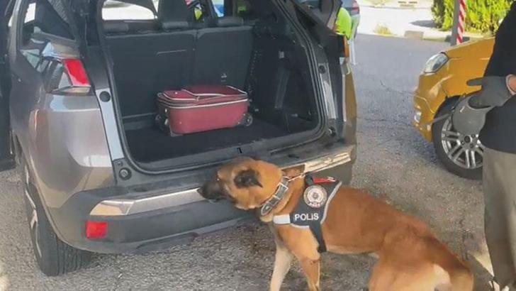 Otomobildeki 10 kilo uyuşturucuyu 'Poyraz' buldu