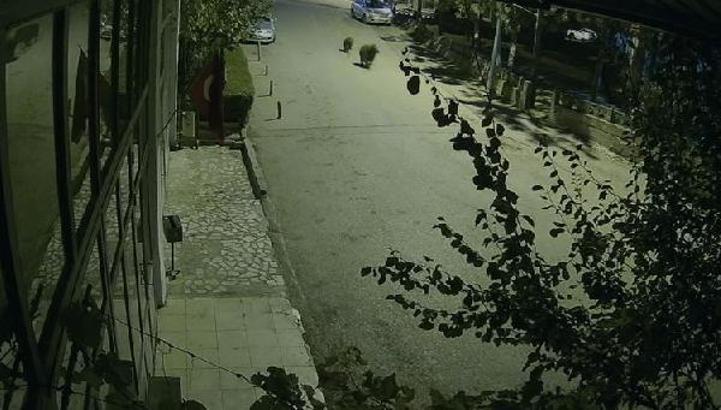 Karabük'te 2 ilçede bozayılar merkeze indi