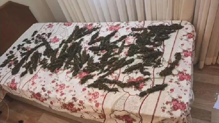 Yalova'da suç örgütüne operasyon; 1'i polis 3 tutuklama