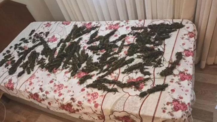 Yalova'da suç örgütüne operasyon; 1'i polis 3 tutuklama