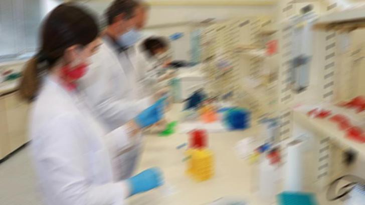 Türkiye'den 397 bilim insanı, dünyanın en etkili yüzde 1'ine girdi