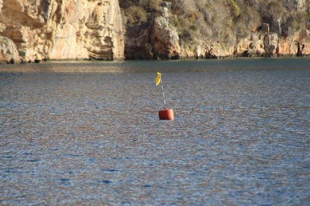 Akdeniz'e Nefes Programı ile denizlerin akciğeri deniz çayırları korunacak