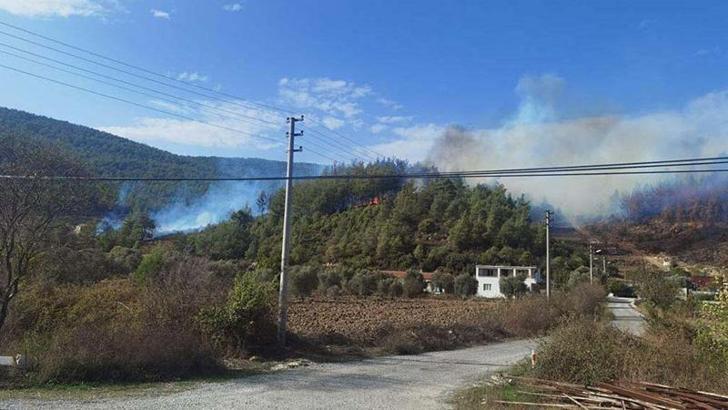 Muğla'da orman yangını kontrol altına alındı