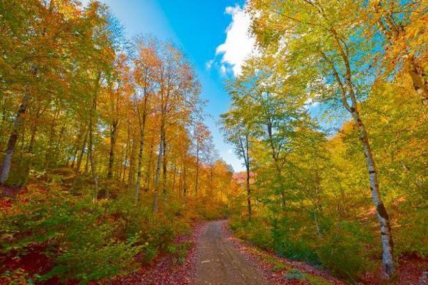Dumanlı Yaylası, doğasever ve fotoğraf tutkunlarının vazgeçilmezi