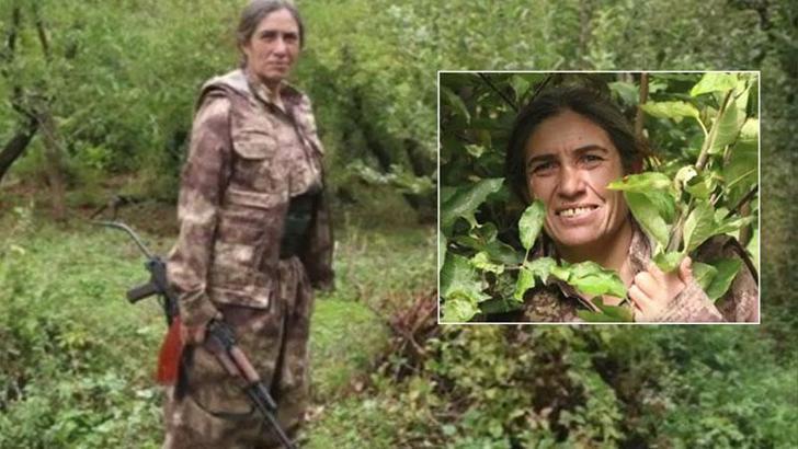 PKK/KCK'nın sözde sorumlusu, Irak'ın kuzeyinde etkisiz hale getirildi