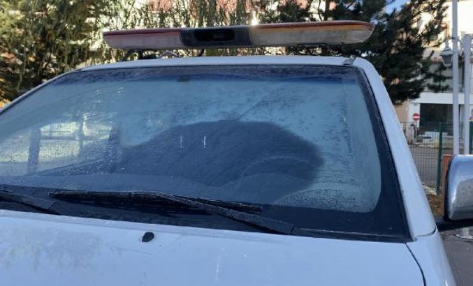 Ardahan'da soğuk hava; camlar dondu, bitkiler kırağı tuttu