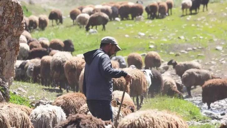 Bakanlıktan hayvancılıkla ilgili 3 yönetmelik değişikliği