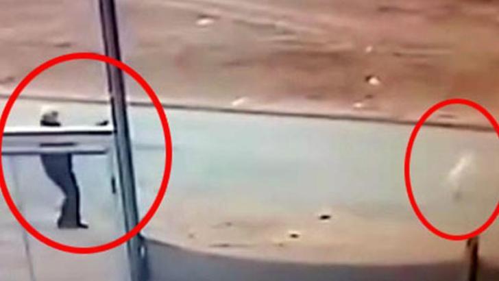 Sokak köpeğini tüfekle öldürdü; adli kontrolle serbest