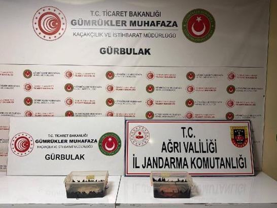 Sınırda sülüklere yakalandı