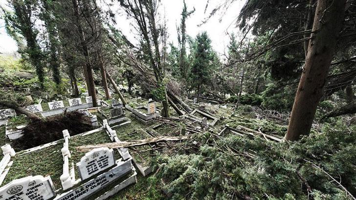Zonguldak'taki fırtınada devrilen aÄŸaçlar nedeniyle 300 mezar hasar gördü