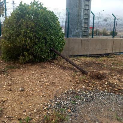 Gercüş’te sağanak ve fırtına; Ağaçlar devrildi