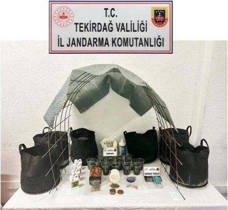 Evine sera kurup uyuşturucu yetiştiren şüpheli gözaltında
