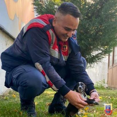 Sokakta buldukları görme engelli yavru köpeğe jandarma sahip çıktı