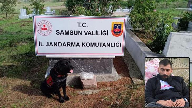 'Etkin pişmanlık’ için dedesinin kabrine uyuşturucu sakladığını itiraf eden sanığa 15 yıl hapis