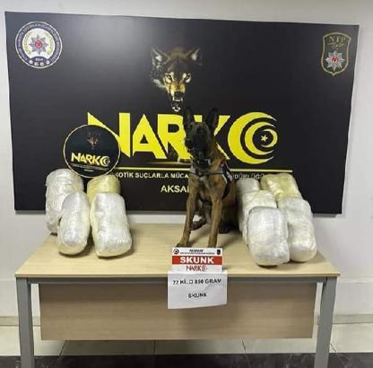 Salatalık kasalarına gizlenmiş uyuşturucuyu 'Bixi' buldu