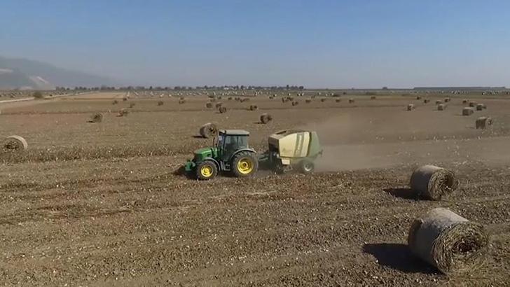 Prof. Dr. Azbar: Anız yakmak deste deste parayı yakmak demektir