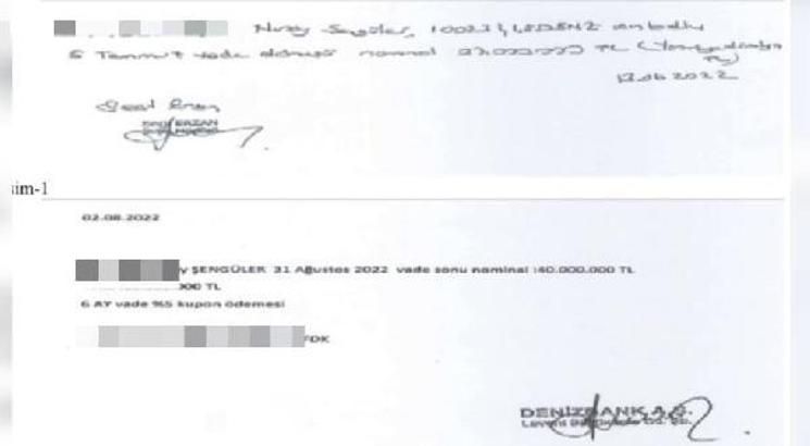 Seçil Erzan'dan ikinci ifade: Koluma serumlar takılarak bana 'bu işi banka dışında yaptın' diye söylettirdiler