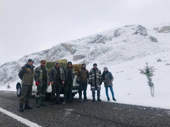 Yaban hayvanları için yemleme çalışması başladı