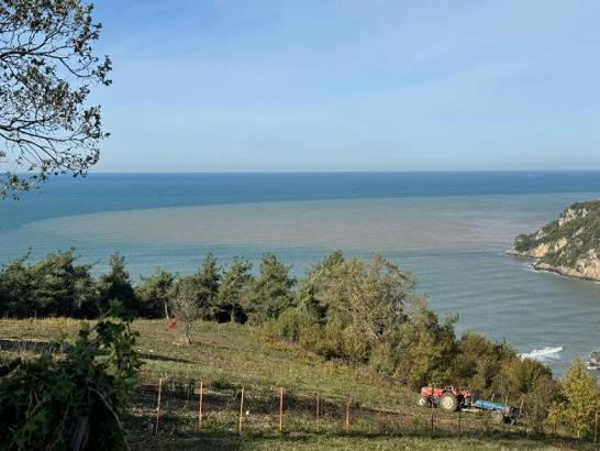 Bartın Irmağı'ndan akan çamurlu su, denizin rengini değiştirdi
